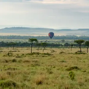 Hot air balloon over the savanna