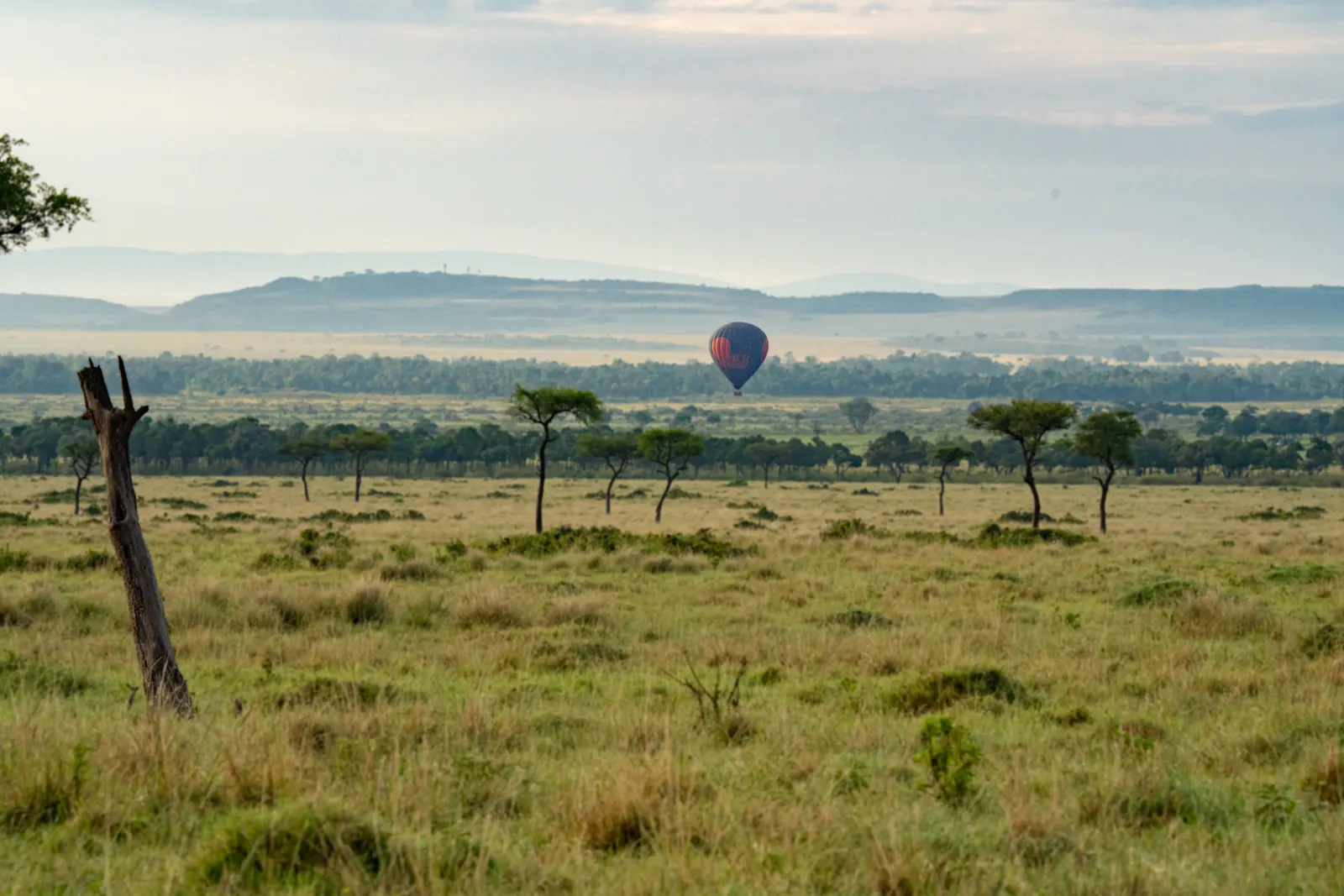 Hot air balloon floating low over savanna dotted with acacia trees